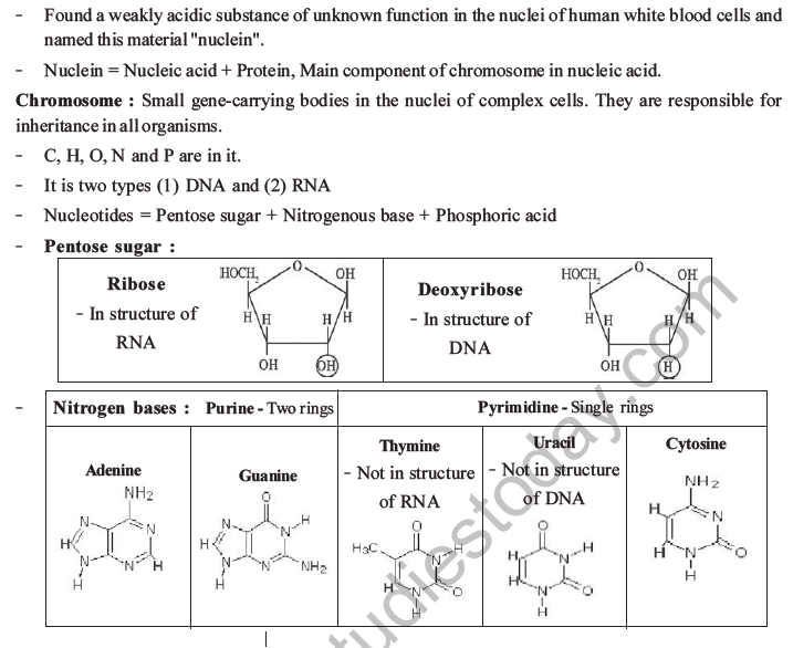 NEET Biology Biomolecules MCQs Set D, Multiple Choice Questions